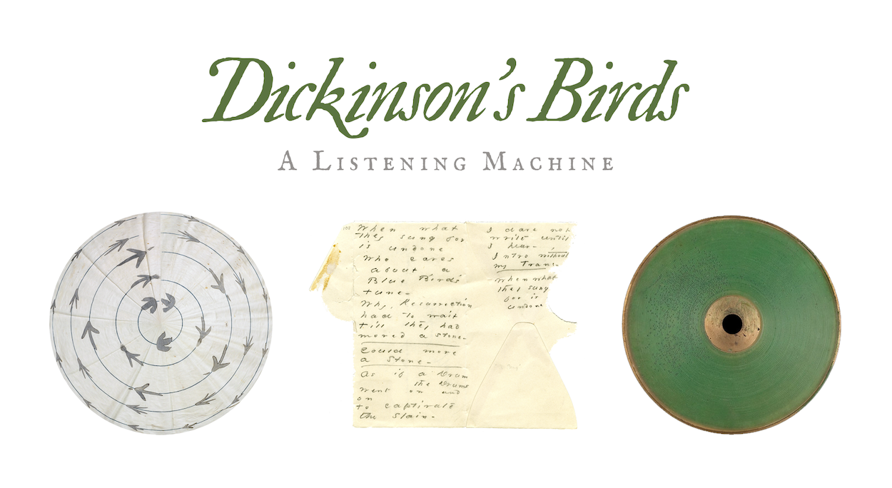 Dickinson's Birds project placeholder static image. Curated by Marta Werner, Abe Kim, Caroline McCraw, and Danielle Richards.